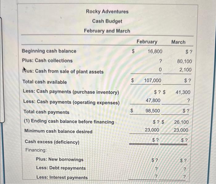 Requirementa Incomplete budget More into Rocky Adventures Cash Budget February and March
