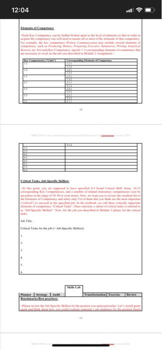 critical skills areas listed. This is being filled out for a financial