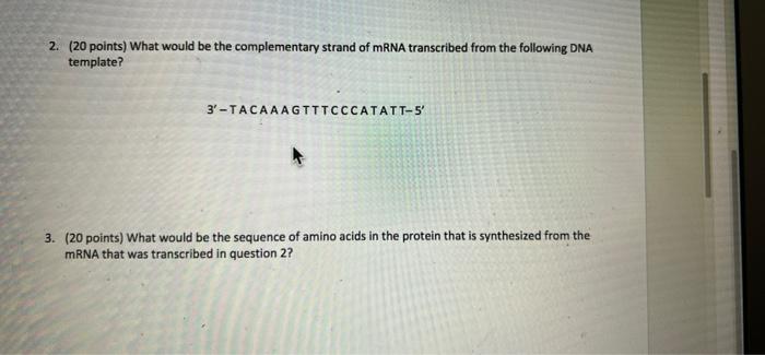  2. (20 points) What would be the complementary strand of mRNA