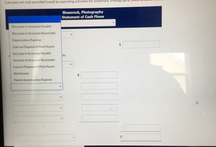 mounts that decrease cash flow with either signes -15,000 or in parentheses