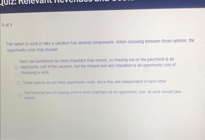  The option to work or take a vacation has several components.