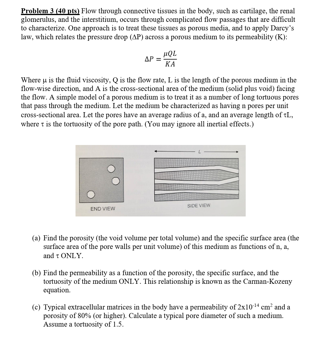  Problem 3(40 pts) Flow through connective tissues in the body, such