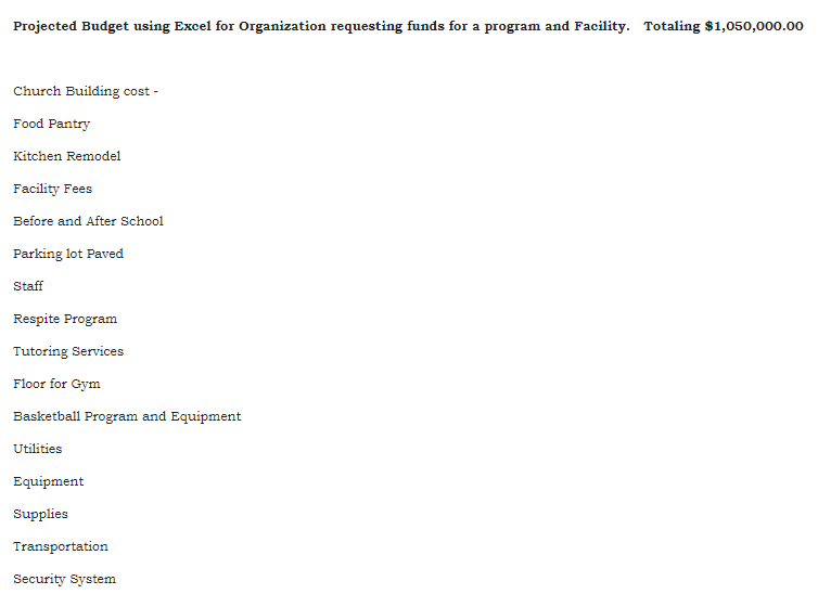  Projected Budget using Excel for Organization requesting funds for a program