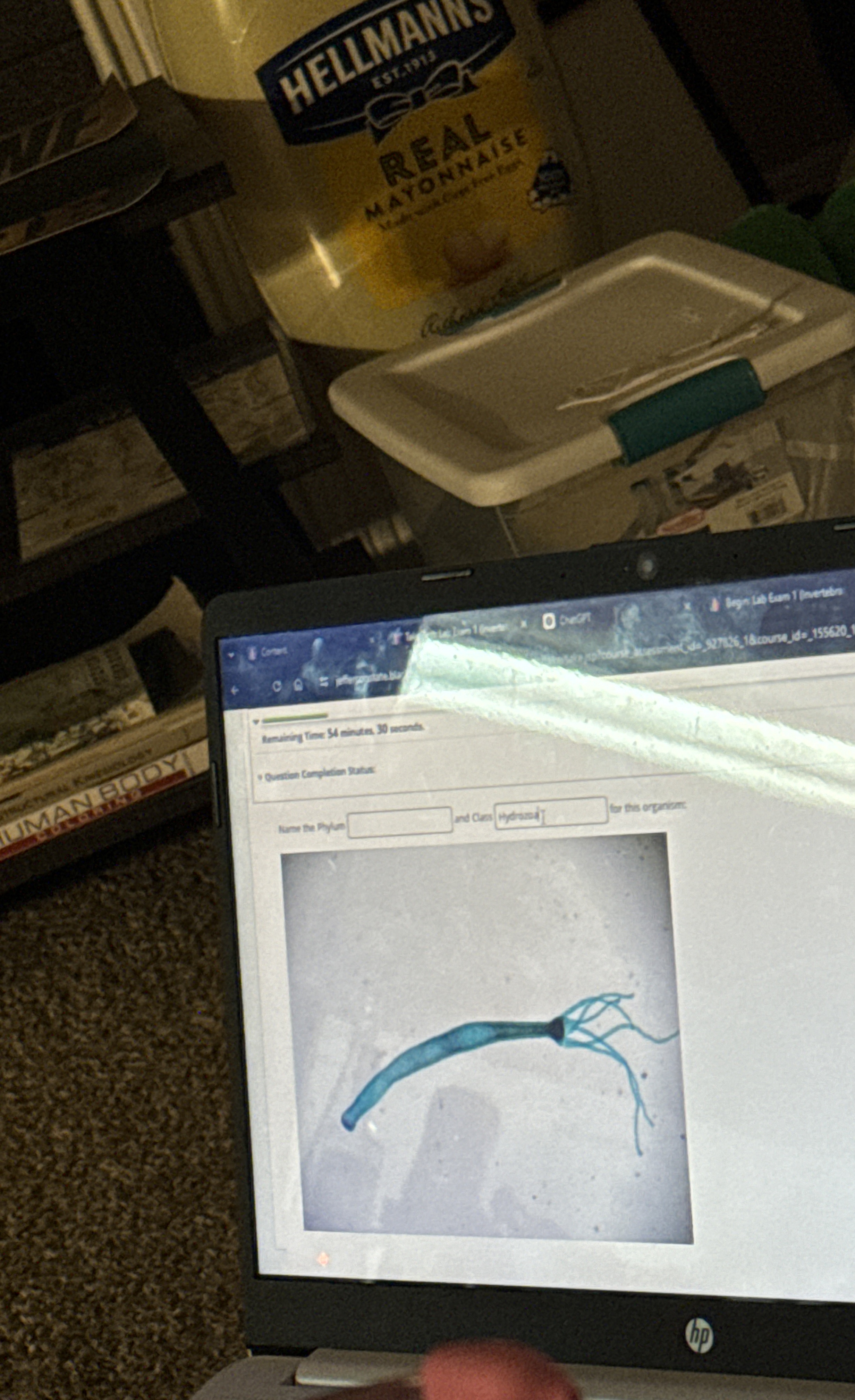 image text in transcribed