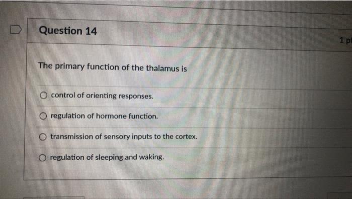 please help D Question 14 1 pi The primary function of the