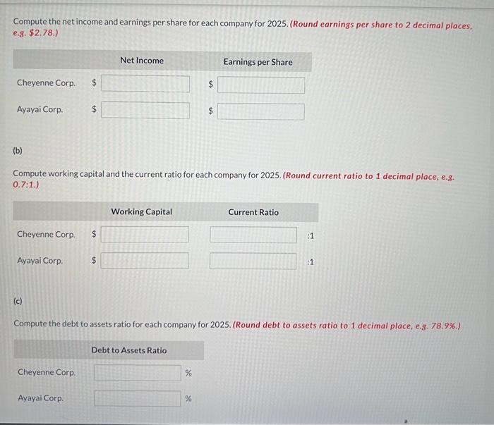 and Ayayai Corp., two competitors, appear below. All balance sheet data are