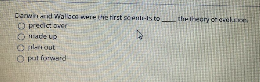 the definition of executives? O general staff and workers in a company