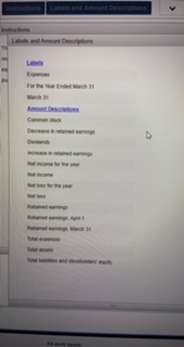 Descriptions Instructions The assets and liabilities of Thompson Computer Services March 31,