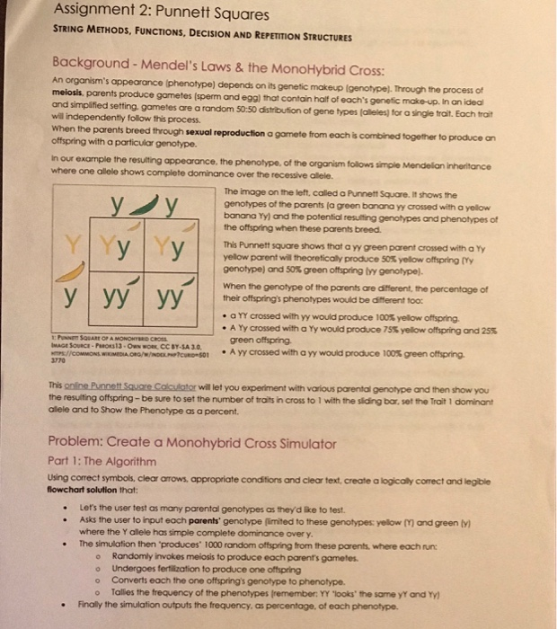  Assignment 2: Punnett Squares STRING METHODS, FUNCTIONS, DECISION AND REPETITION STRUCTURES