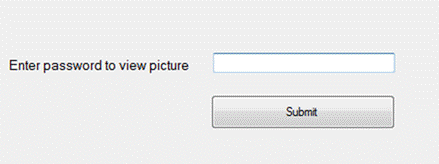 In Microsoft Visual Studio (C#): How to Enter correct password to view