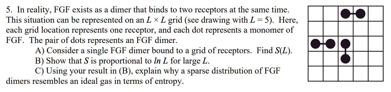 5. In reality, FGF exists as a dimer that binds to