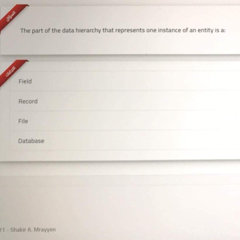 The part of the data hierarchy that represents one instance of