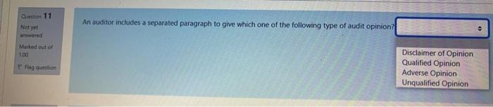  An auditor includes a separated paragraph to give which one of