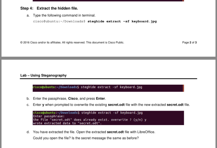  Step 4: Extract the hidden file. a. Type the following command