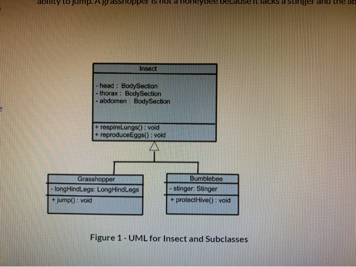 Grasshopper and Bumblebee objects, calls the respireLungs and reproduceEggs methods of each