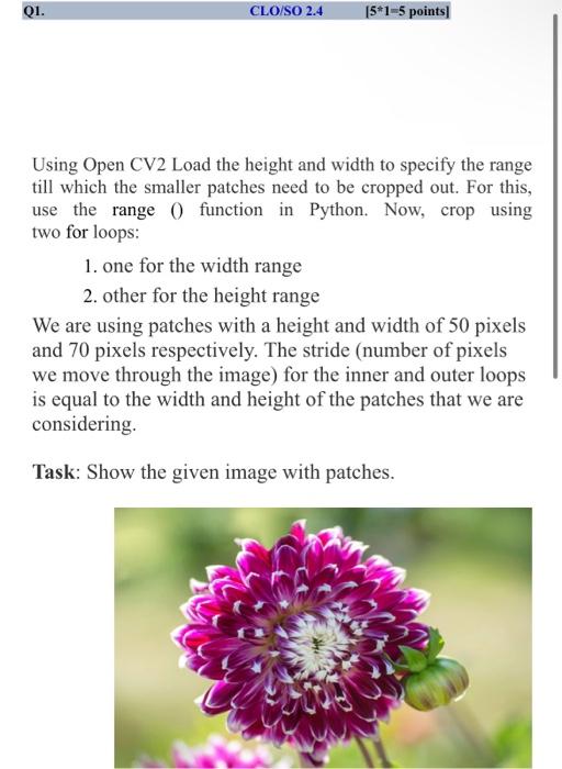  solve it with python please Using Open CV2 Load the height