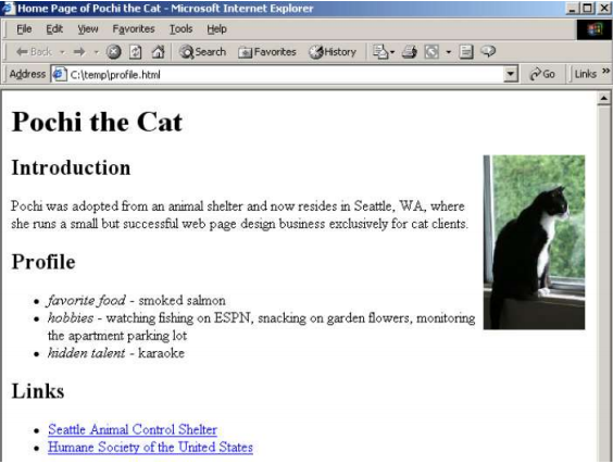 Task: Design the HTML page which is about your pet and looks