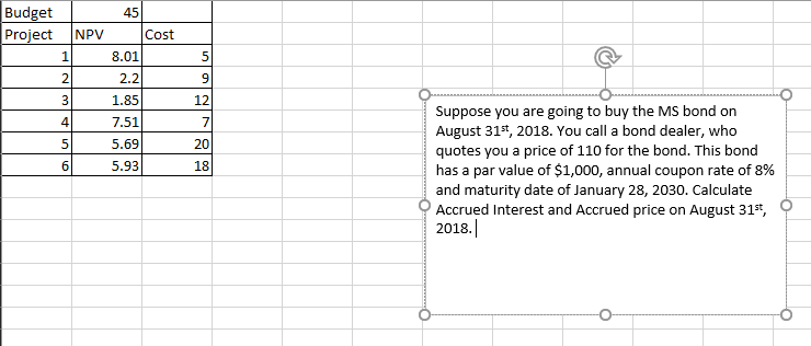 PLEASE SHOW STEPS IN EXCEL Budget Project NPV 45 Cost 8.01