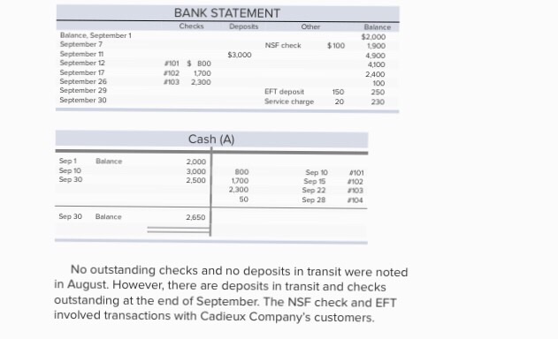  BANK STATEMENT $2.000 1900 4.900 NSF check $100 r101 B00 102