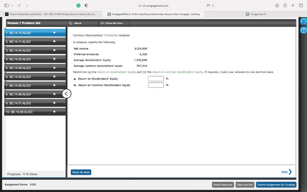  Common Stockholders' Profitability Analysis