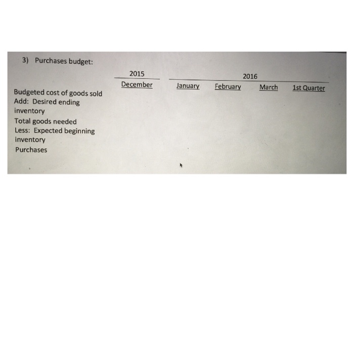 engaged as a consultant to design a master budget model and then