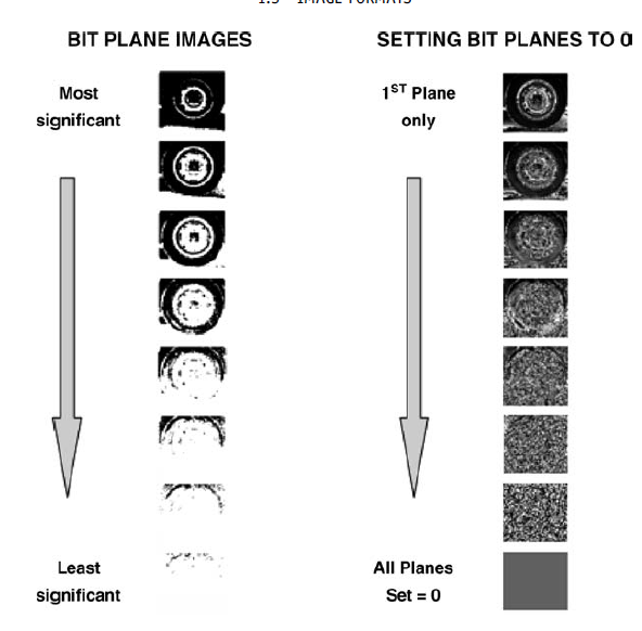 in Section 1.2.1 and extract/display the resulting plane images (Figure 1.3) as
