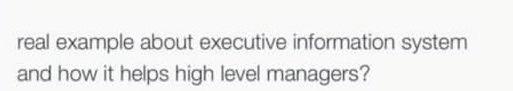  real example about executive information system and how it helps high