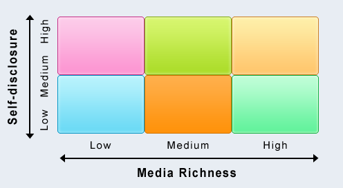 Drag and drop each social media example into the correct cell of