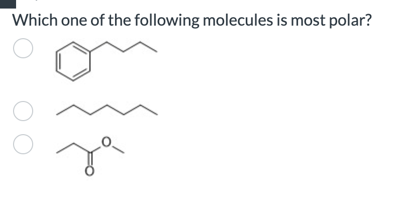 Amine Carboxylic Acid