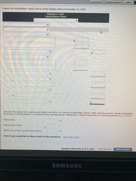 of the balance sheet at December 31, 2022. BRAMBLE CORP. Partial Balance