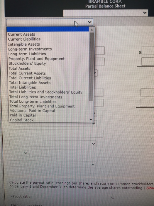 Sheet Calculate the payout ratio, earnings per share, and return on common