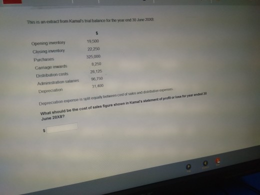 This is an extract from Kamal's trabalance for the year end