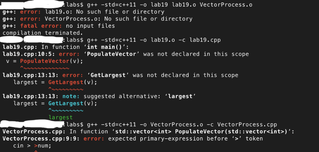 lab19 lab19.0 VectorProcess.o 7 clean 1 #ifndef FN H 2 #define FN_H