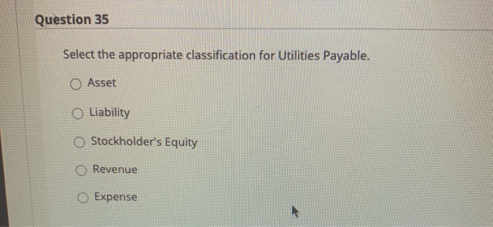 appropriate classification for Unearned Revenues. Asset O Liability O Stockholder's Equity O