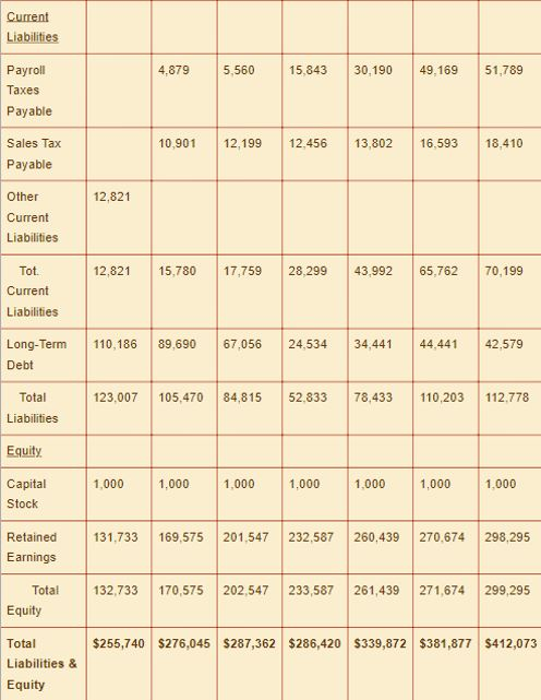 Mountain State Sporting Goods Balance Sheet Analysis 2002 2003 2004 2005 2006