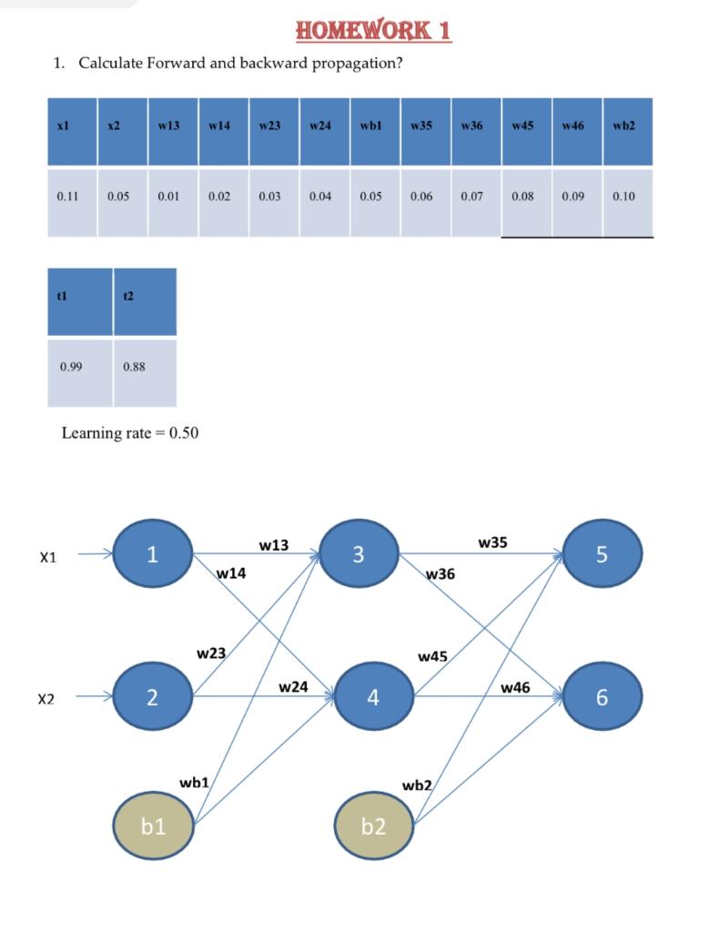 1. Calculate Forward and backward propagation