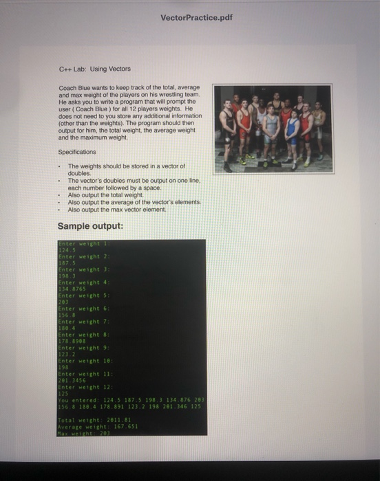 have entered all required information, including a screenshot of a(n) successful/unsuccessful run
