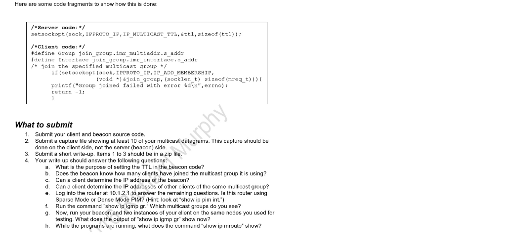 server (the multicast source or beacon) and a client program that will
