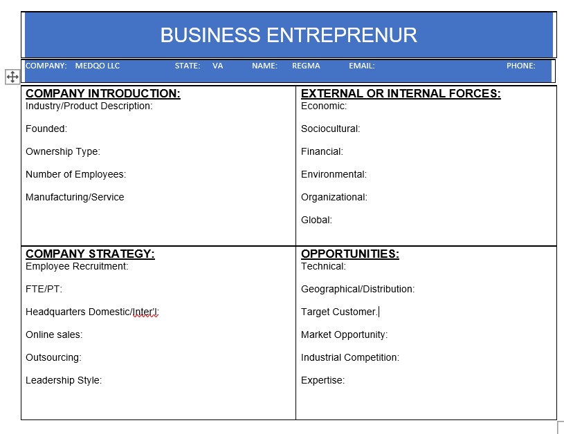 Please fill up this chart and write a business plan in detail