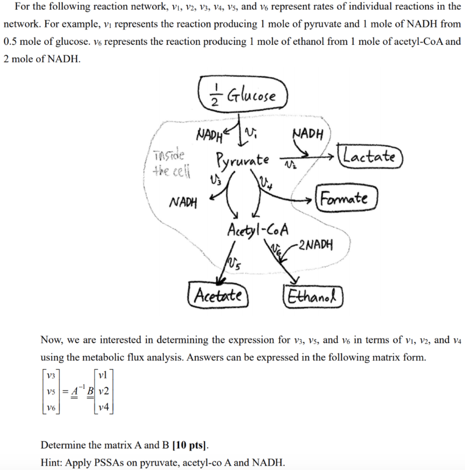  Now, we are interested in determining the expression for v3,v5, and