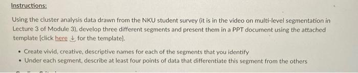  Instructions: Using the cluster analysis data drawn from the NKU student