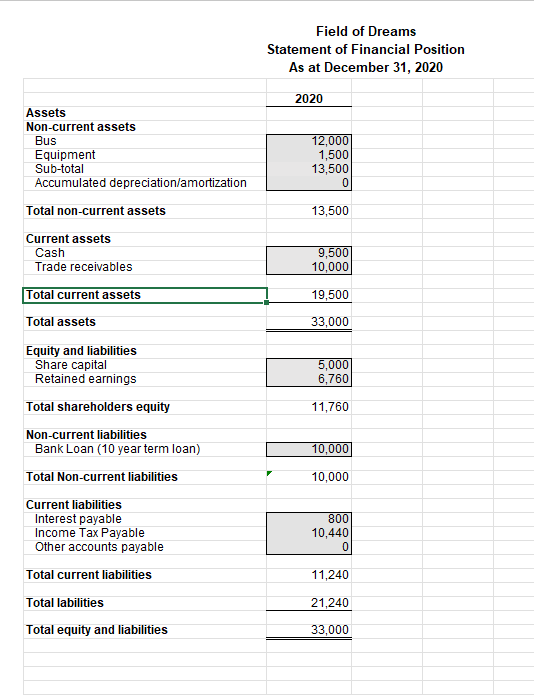 the 2020 fiscal year, prepare a set of projected financial statements for
