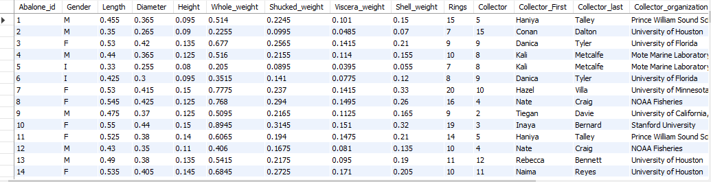  In this DB, we first consider that the only Entity is