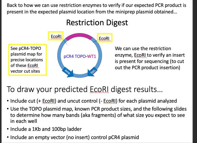 in-class activity, you will be working in your groups of 3-4 to