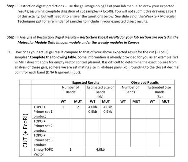 analyze restriction digest results of your lab section's mini prep plasmids. Part