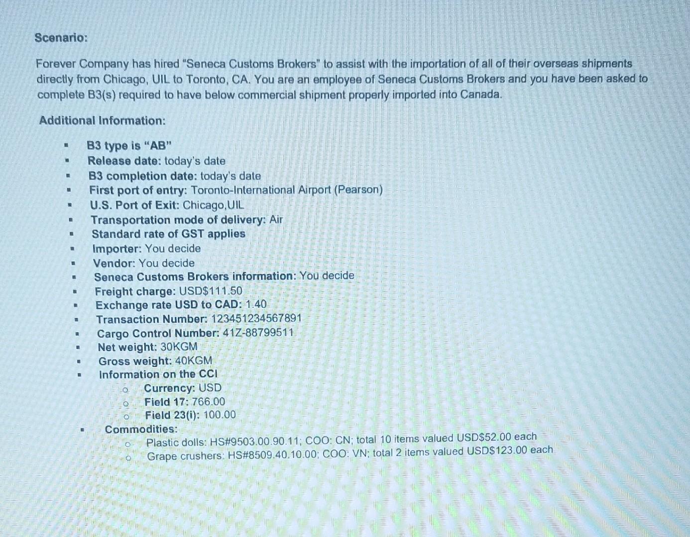  completing the B3 form in customs B3 coding form completion it
