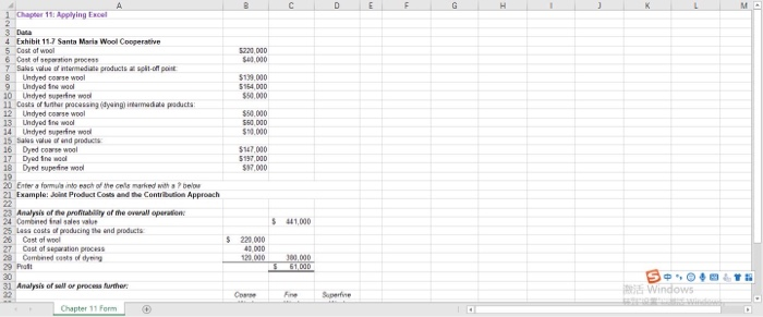  1 Chapter 11: Applying Excel 4 Exhibit 11.7 Santa Maris Wool