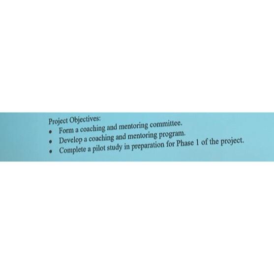  Project Objectives: Form a coaching and mentoring committee. Develop a coaching
