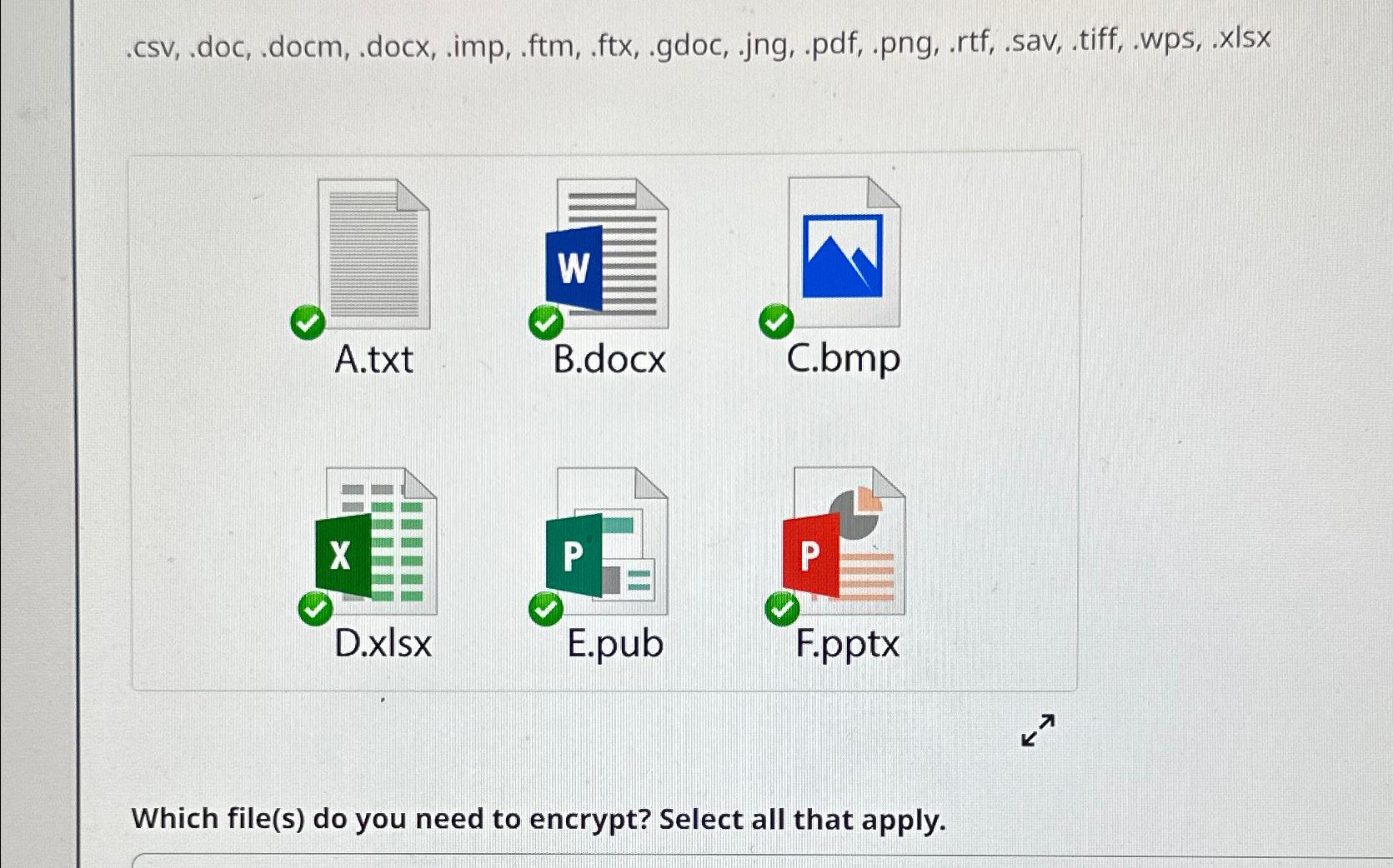  .csv,.doc, .docm, .docx, .imp, .ftm,.ftx,.gdoc, .jng,.pdf,.png,.rtf,.sav, .tiff, .wps,.xlsx A.txt B.docx Which