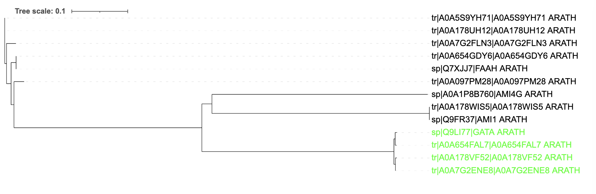 image text in transcribed